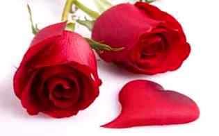 Good afternoon