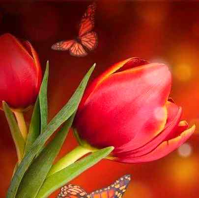 Good afternoon
