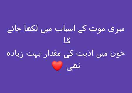 Good afternoon
