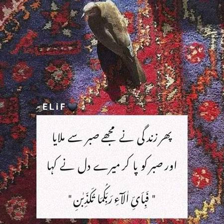 Good afternoon