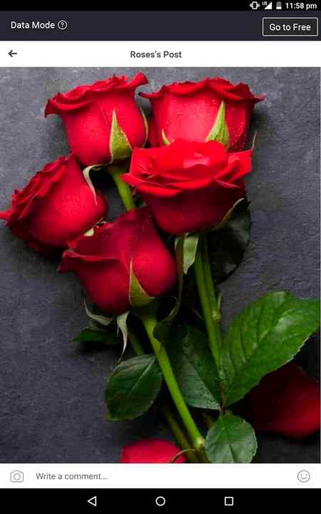 Good afternoon
