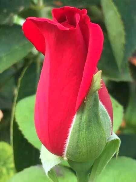 Good afternoon