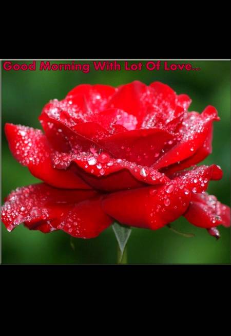 Good afternoon
