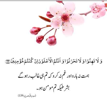 Good afternoon