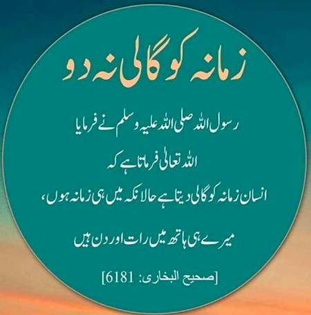 Good evening