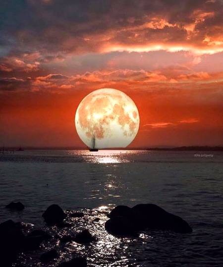 Good evening