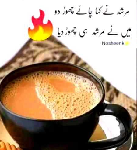 Good evening