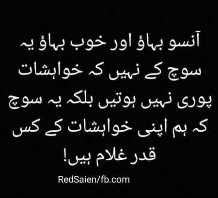 Good evening