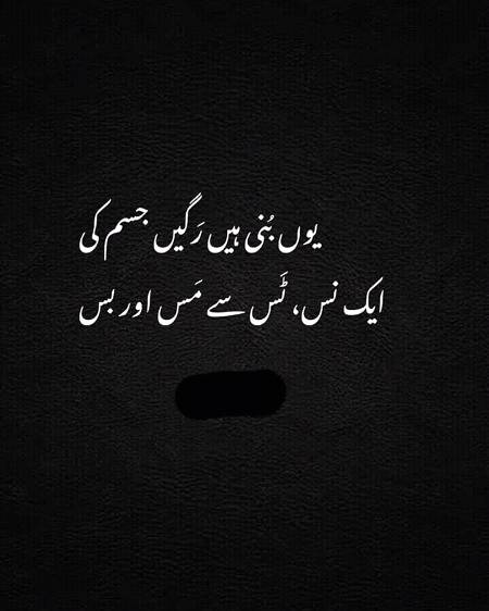 Good evening
