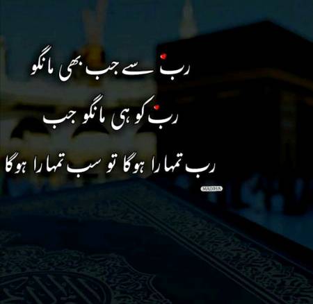 Good evening