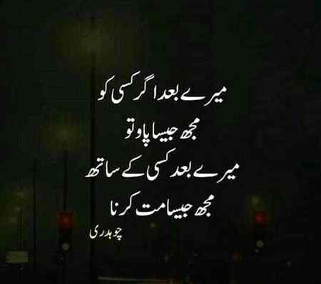 Good evening