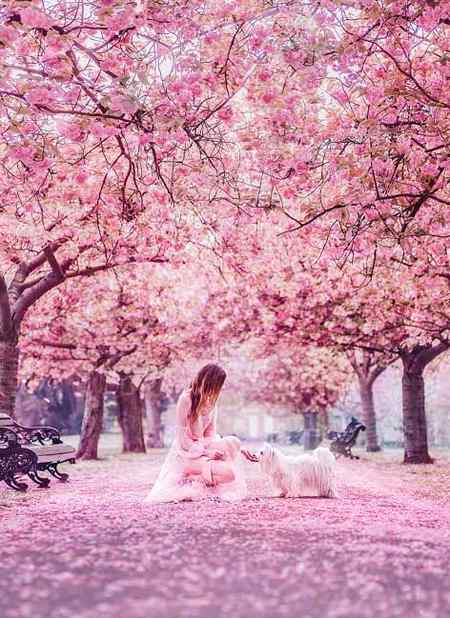 Good evening