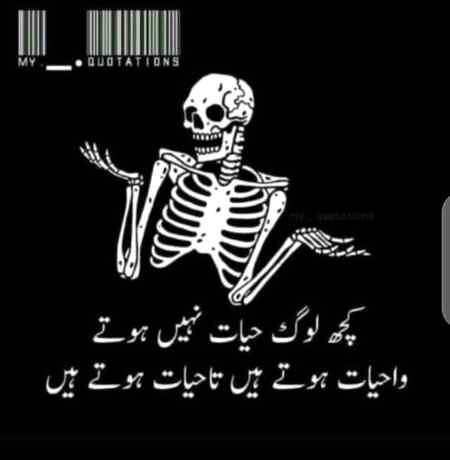 Good evening