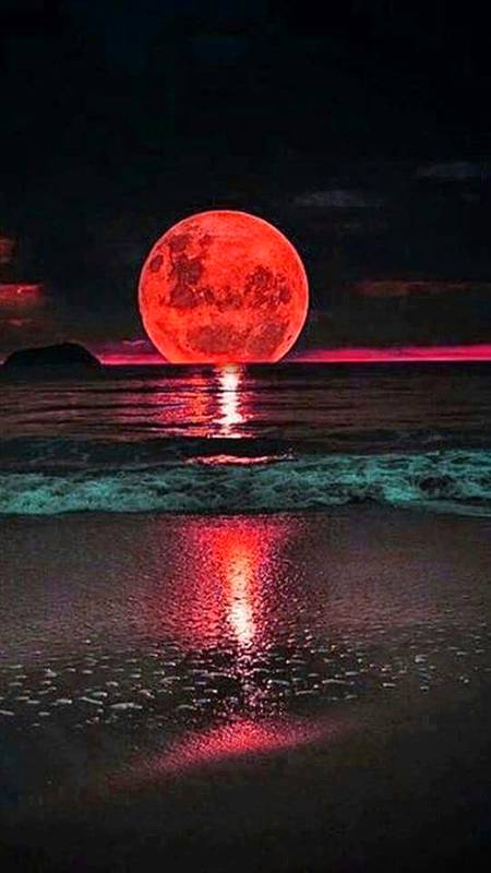 Good evening