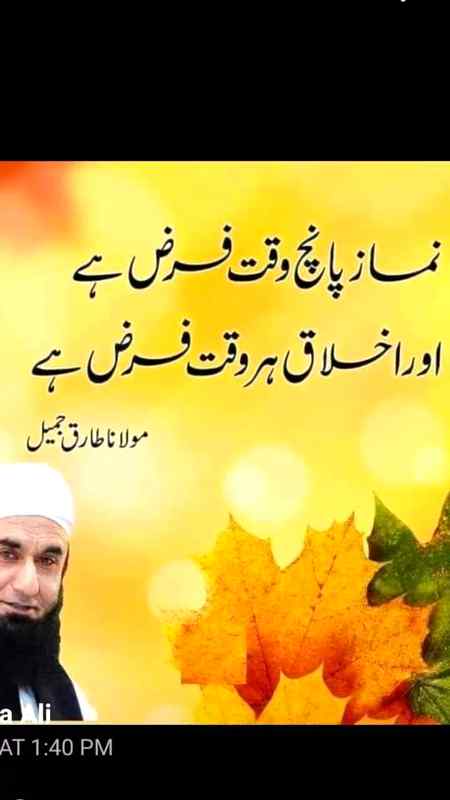 Good evening