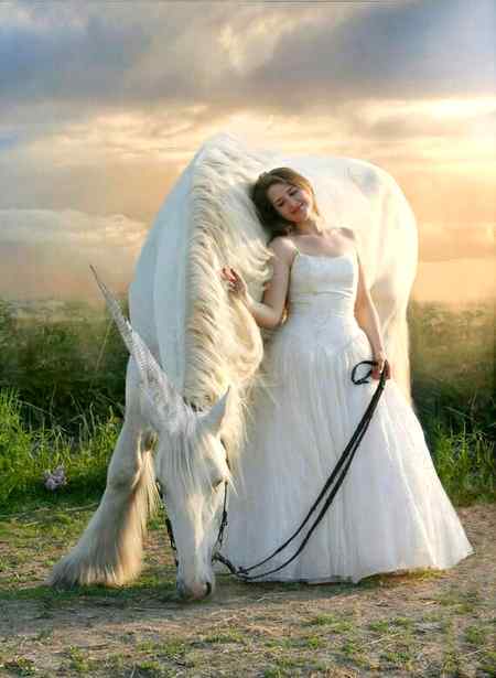 Good evening