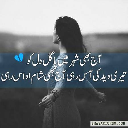 Good evening