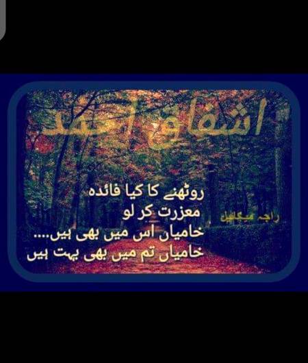 Good evening