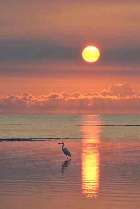 Good evening