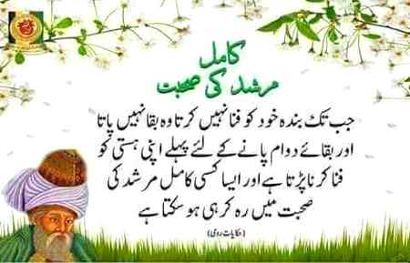 Good evening