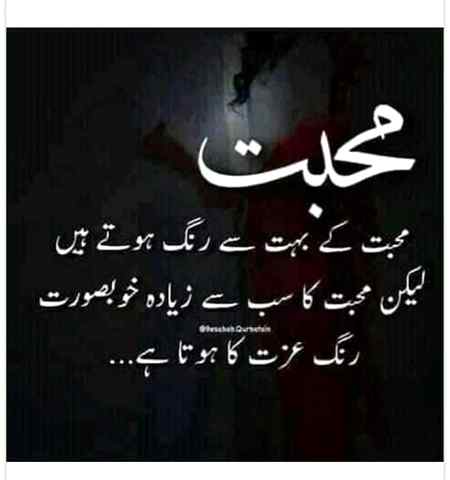 Good evening