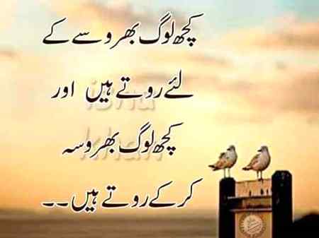 Good evening