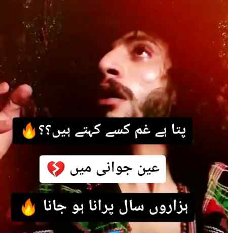 Good evening