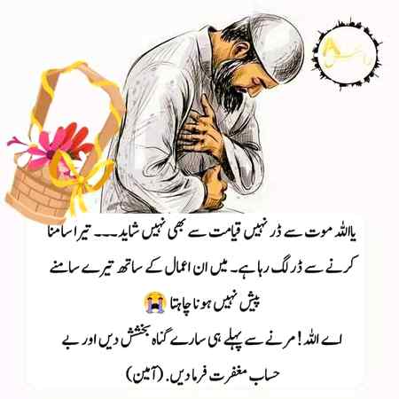 Good evening