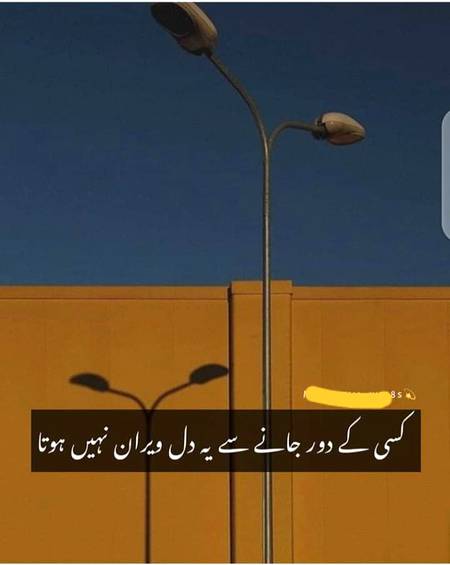 Good evening