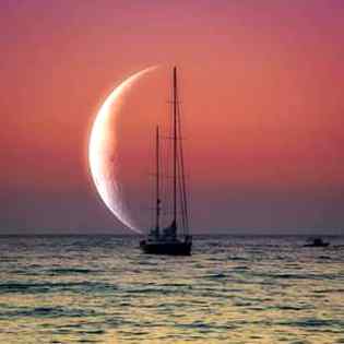 Good evening