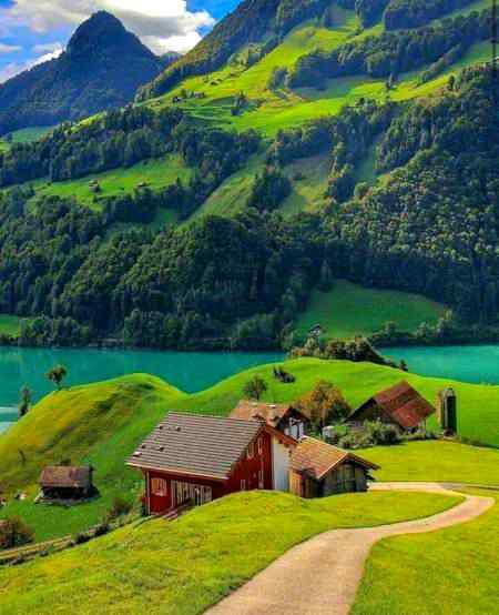 Good evening