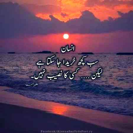 Good evening