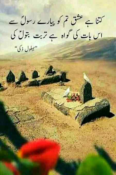 Good evening