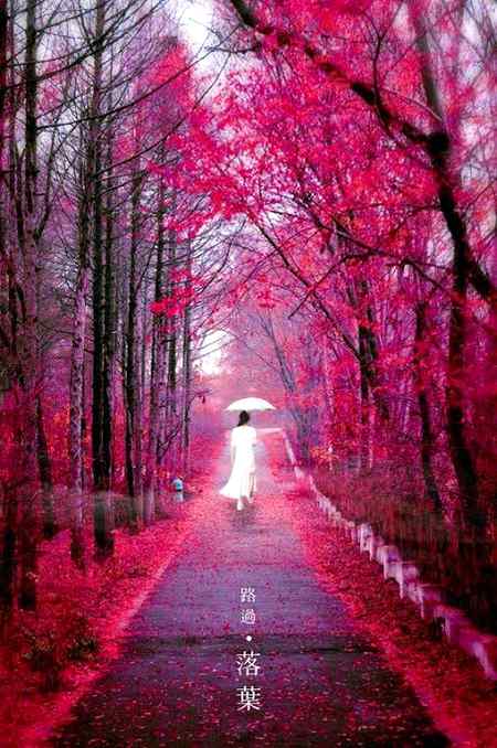 Good evening
