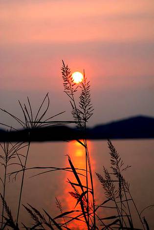 Good evening