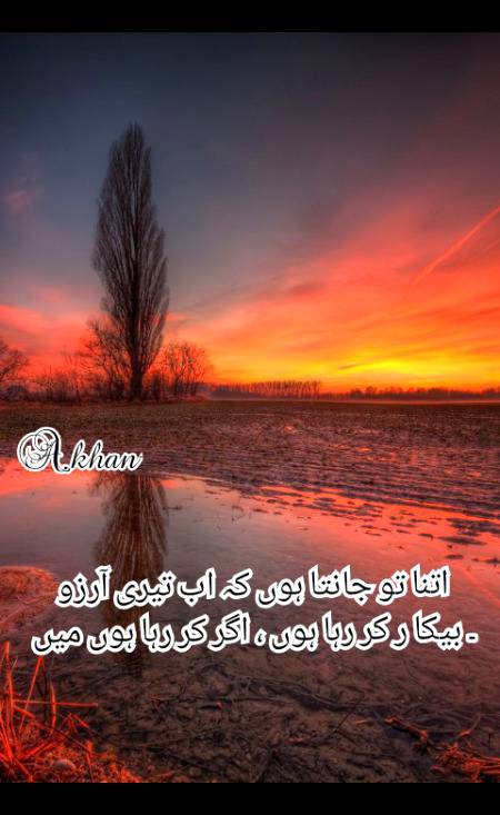 Good evening
