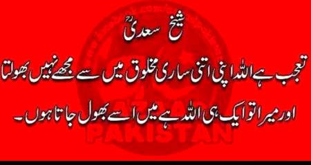 Good evening