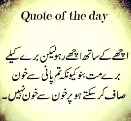 Good evening