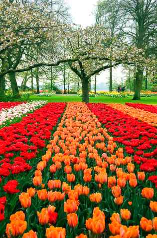 Good evening