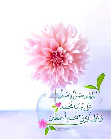 Good evening