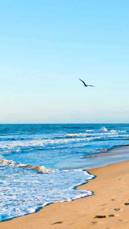 Good evening