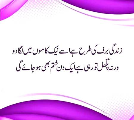 Good evening