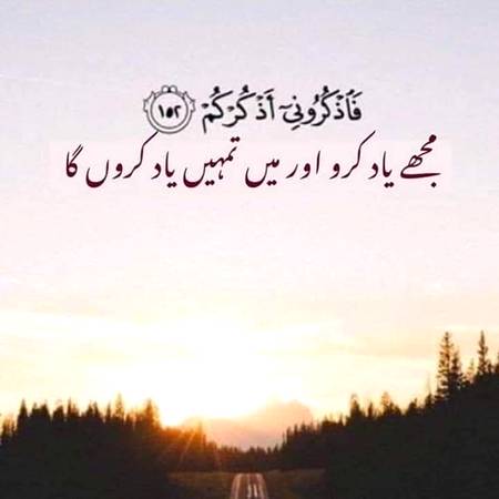 Good evening