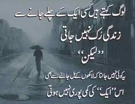 Good evening