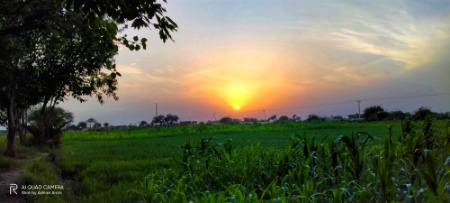 Good evening