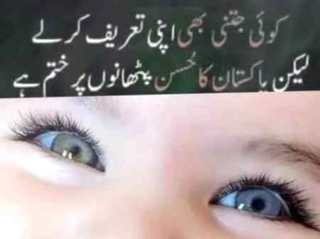 Good evening