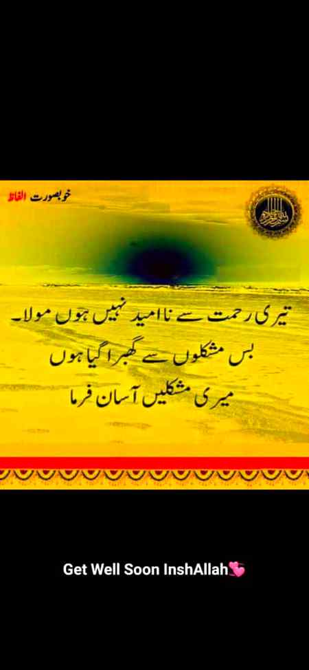 Good evening