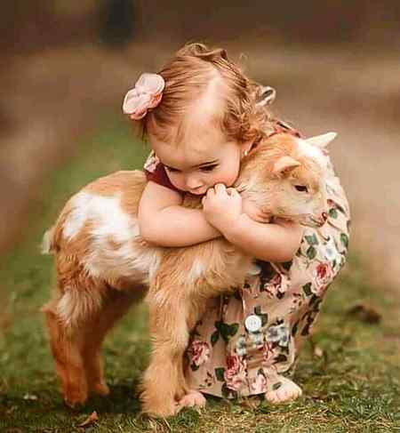 Good evening