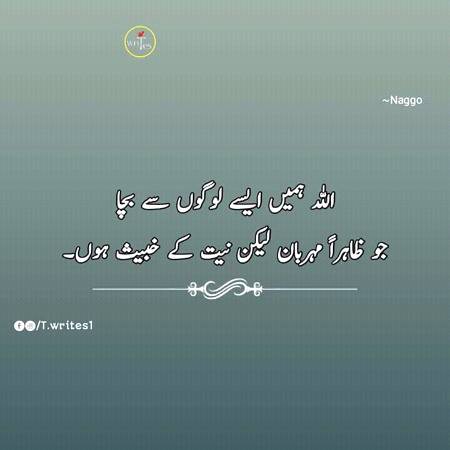 Good evening