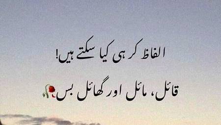 Good evening